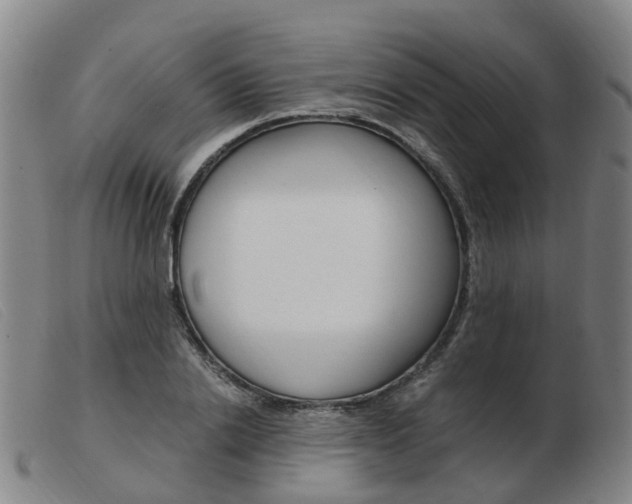 X0000103940838200809191146