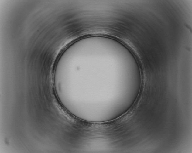 X0000103940840200809191146