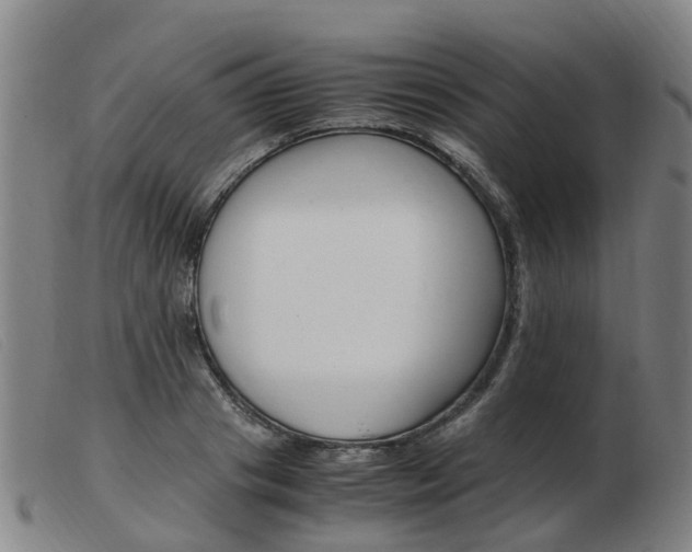 X0000103940841200809191146