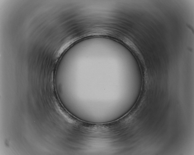 X0000103940842200809191146