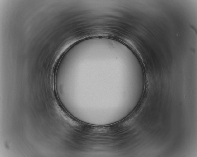 X0000103940843200809191146