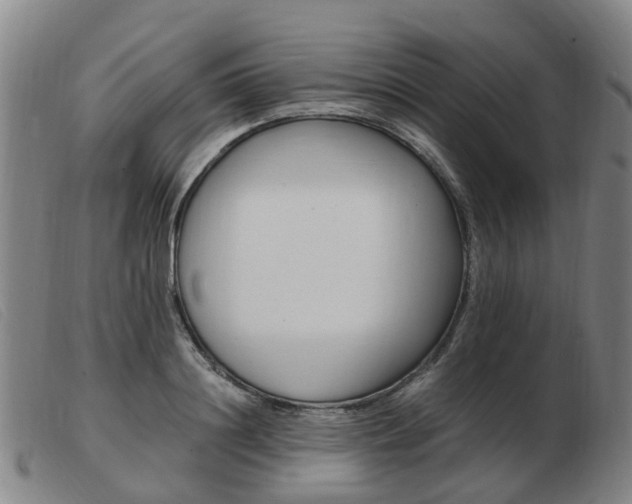 X0000103940844200809191146