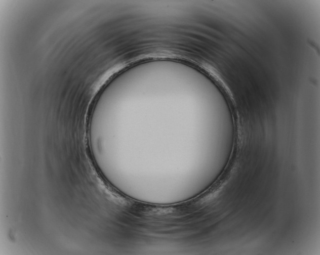 X0000103940845200809191146