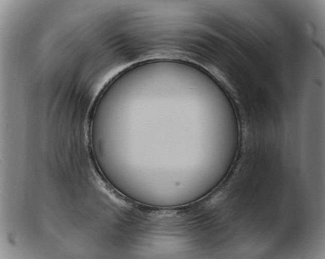 X0000103940846200809191146