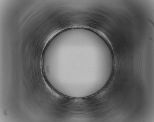 X0000103940847200809191146