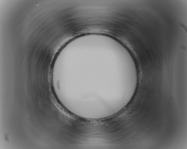 X0000103940848200809191146