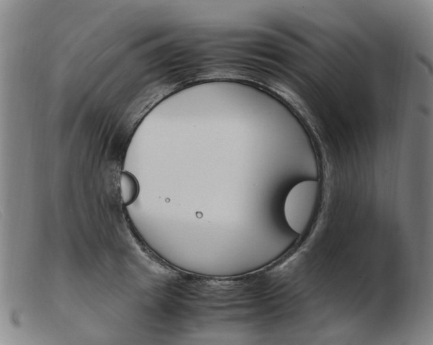X0000103940849200809191146