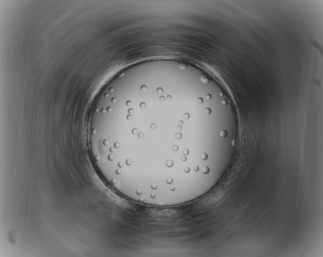X0000103940851200809191146