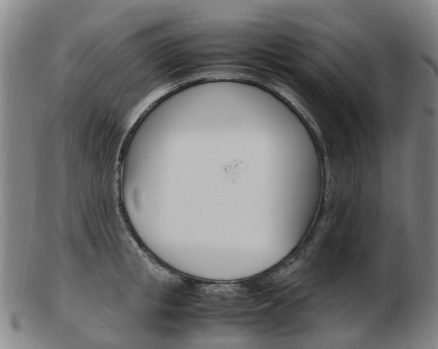 X0000103940853200809191146