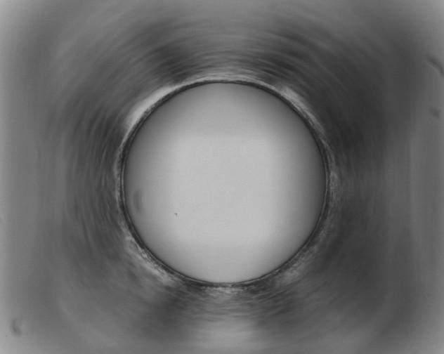 X0000103940854200809191146