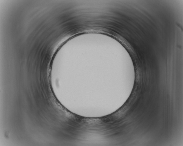 X0000103940856200809191146