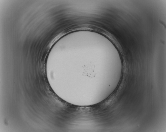 X0000103940858200809191146