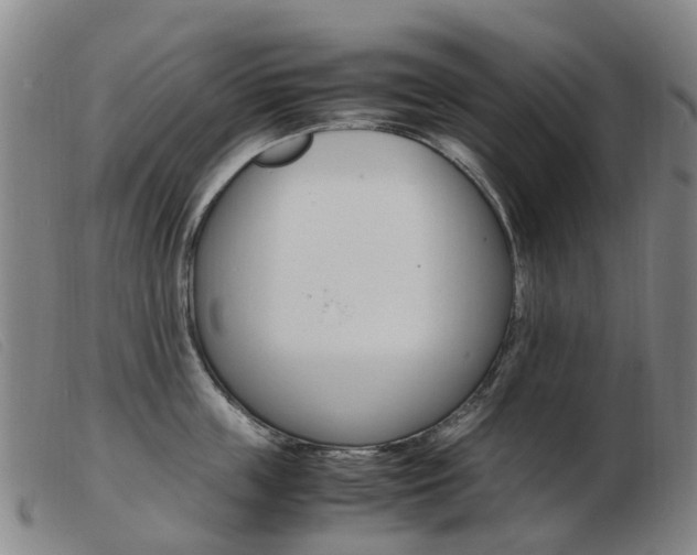 X0000103940859200809191146