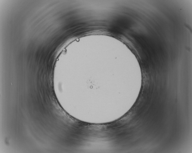 X0000103940860200809191146