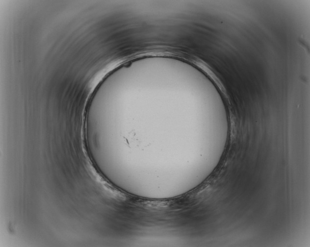 X0000103940861200809191146