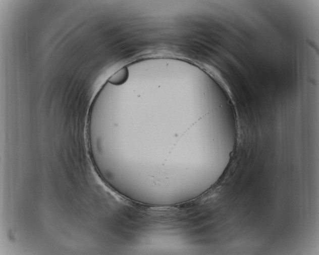 X0000103940863200809191146