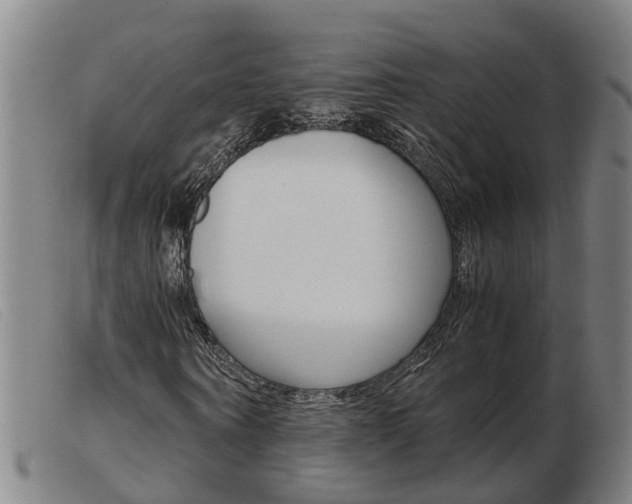 X0000103940866200809191145