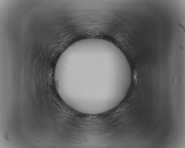 X0000103940867200809191145