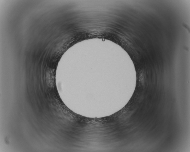X0000103940868200809191145