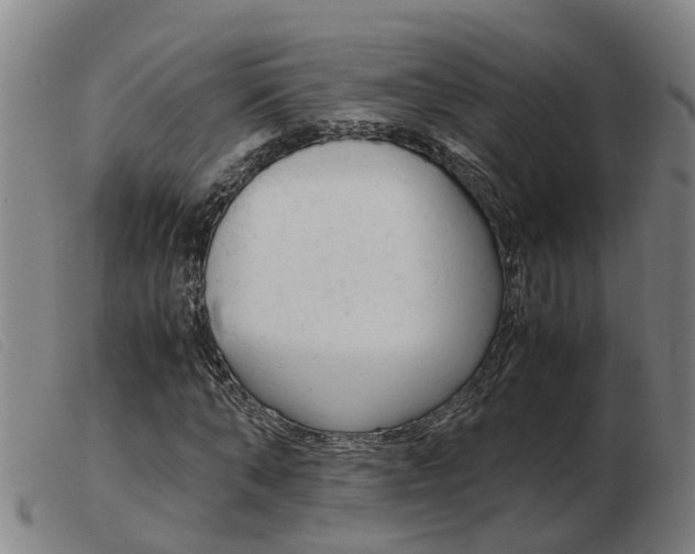 X0000103940870200809191145