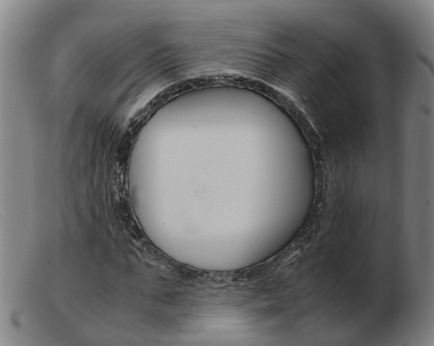 X0000103940871200809191145