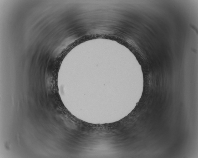 X0000103940872200809191145