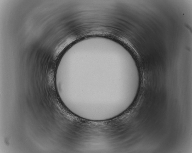 X0000103940874200809191145