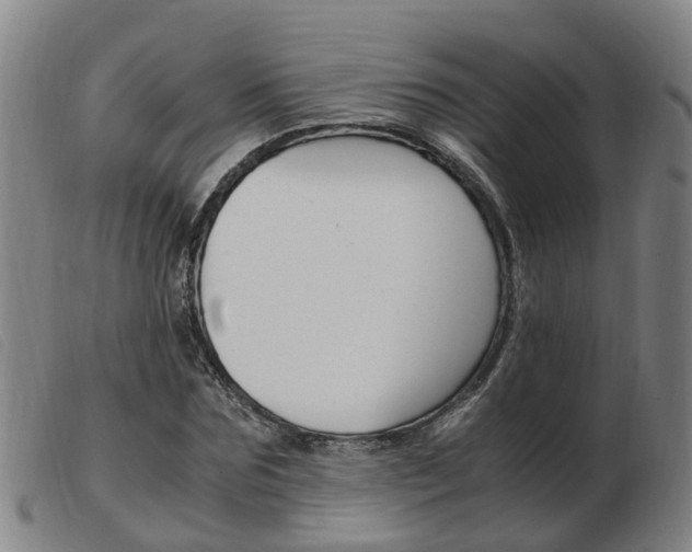 X0000103940875200809191145
