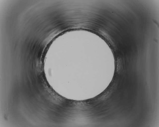 X0000103940876200809191145