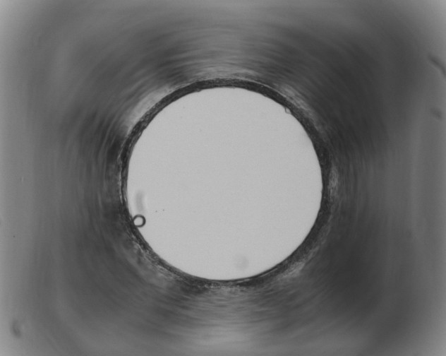 X0000103940877200809191145