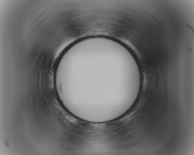 X0000103940878200809191145