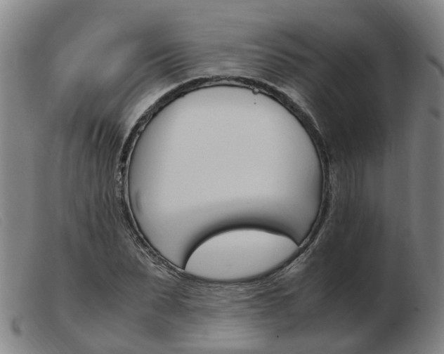 X0000103940879200809191145