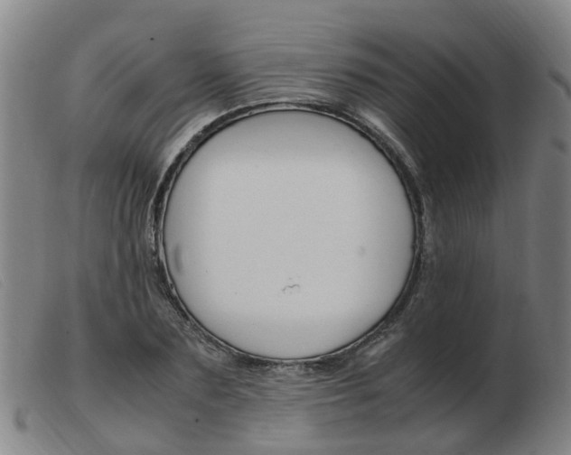 X0000103940883200809191145