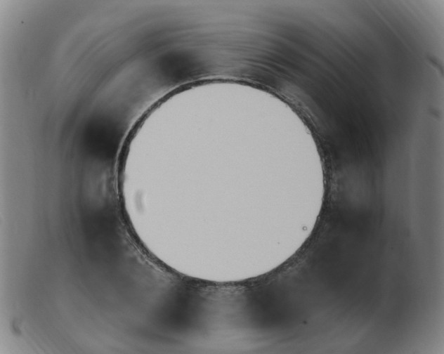 X0000103940884200809191145