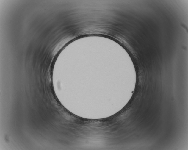 X0000103940885200809191145