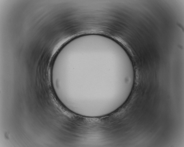 X0000103940886200809191145