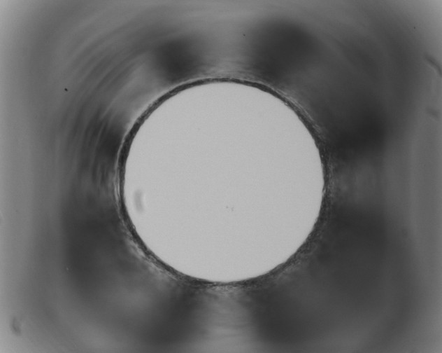 X0000103940888200809191145