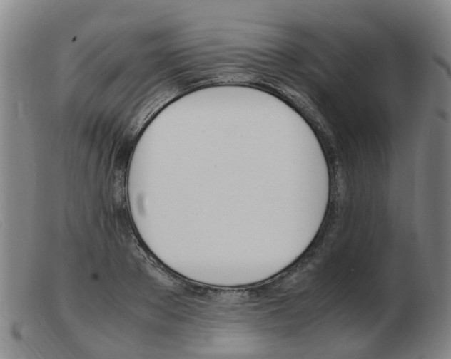 X0000103940889200809191145