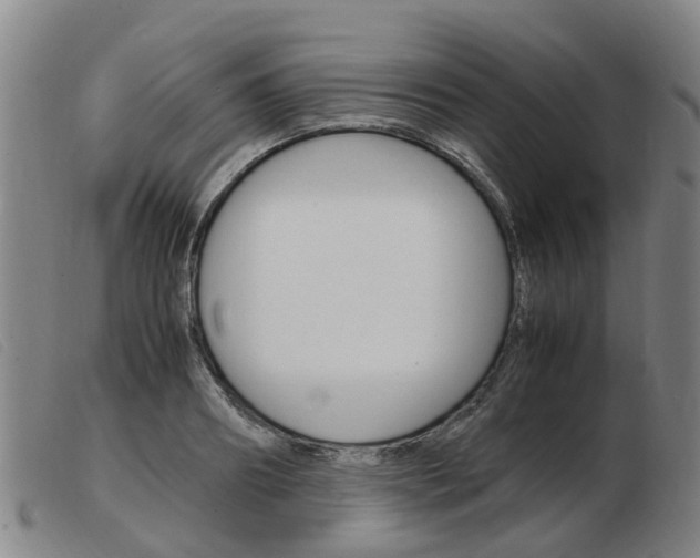 X0000103940890200809191145
