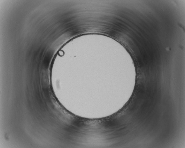 X0000103940892200809191145
