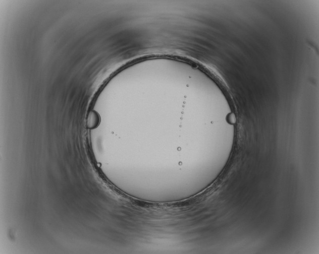 X0000103940895200809191145