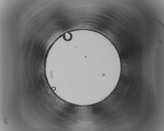 X0000103940896200809191145