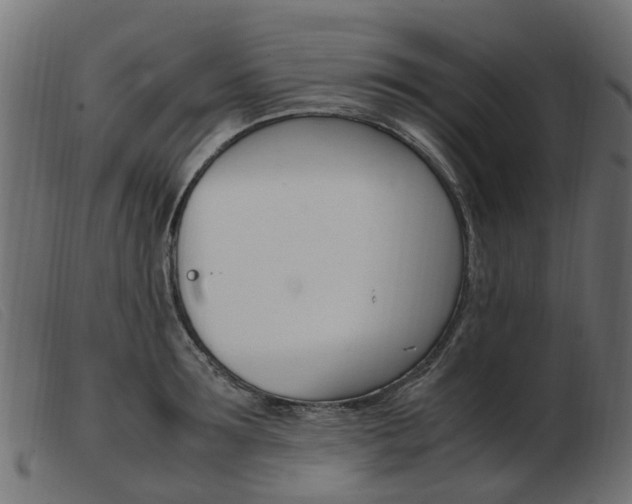 X0000103940899200809191145