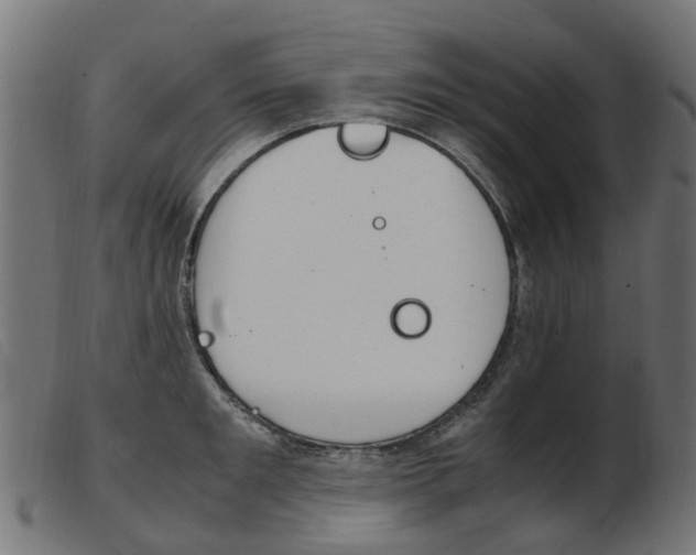 X0000103940901200809191145
