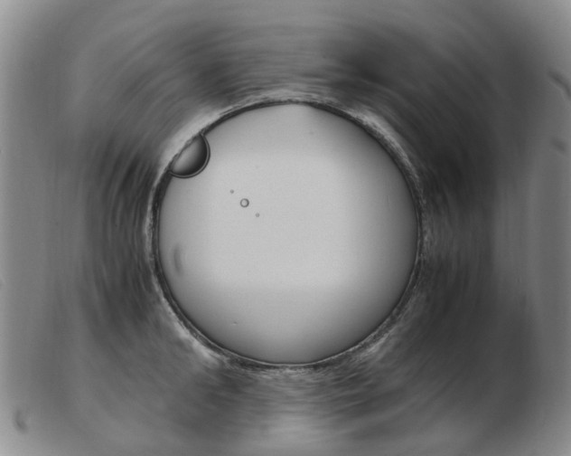 X0000103940902200809191145