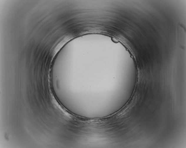 X0000103940906200809191145