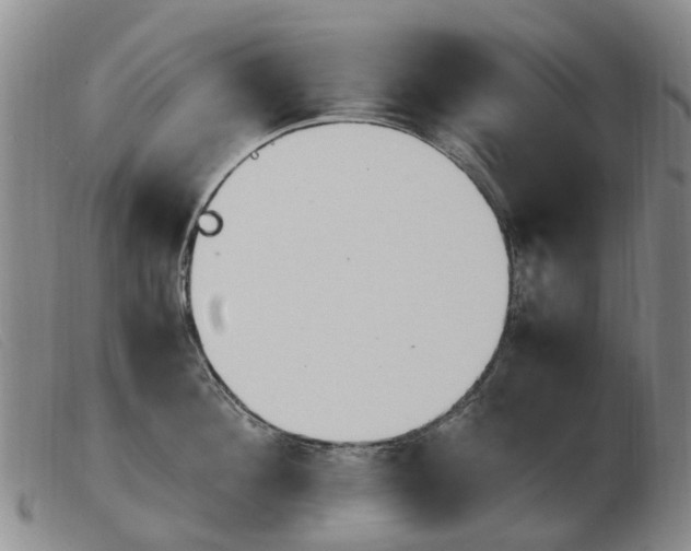 X0000103940908200809191145