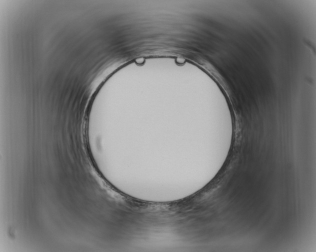 X0000103940909200809191145