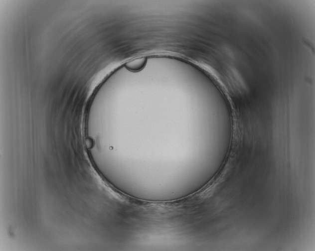 X0000103940910200809191145