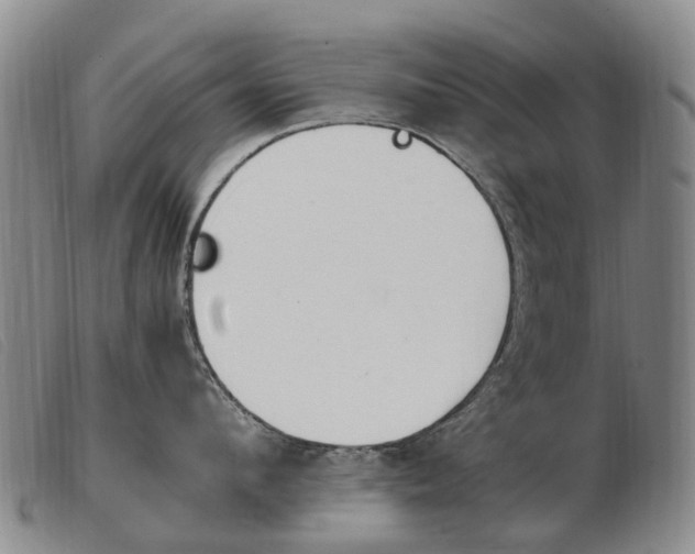 X0000103940912200809191145
